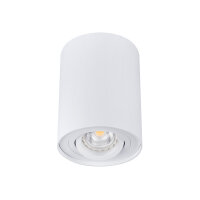 Deckenleuchte BORD GU10 DLP 50-W/B Farbe wählbar