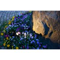LED-Solar-Spotlight Powerspot, schwarz, 9,5x21cm, Akku,...