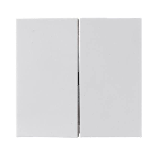 Taster McPower Shallow 2-fach, 250V~10A, UP, Steckanschluss, weiß