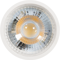 LED Modul "BRONN"  50 x 25 mm 2,5 Watt 450 Lumen Lichtfarbe wählbar 3.000 K warmweiß