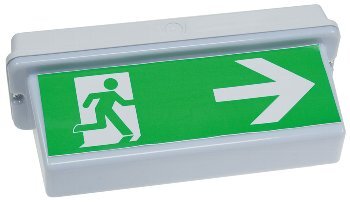 LED Fluchtwegleuchte "NL-D2" 30 LEDs Erkennungsw. 25m, Deckenmontage, IP65