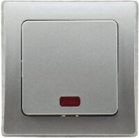 DELPHI Kontroll-Schalter mit Lämpchen 250V~/ 10A, inkl. Rahmen, UP, silber